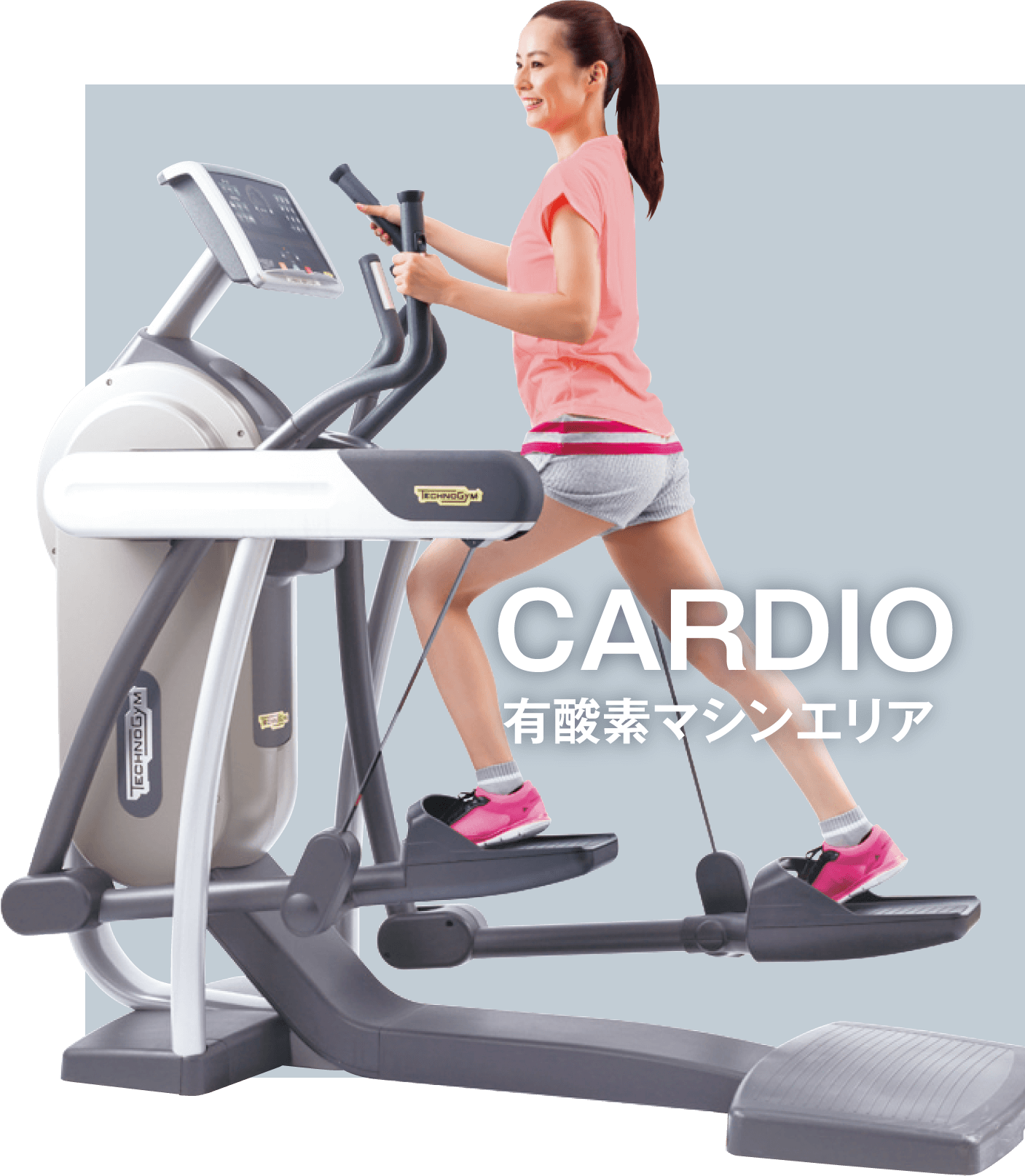 CARDIO 有酸素マシンエリア