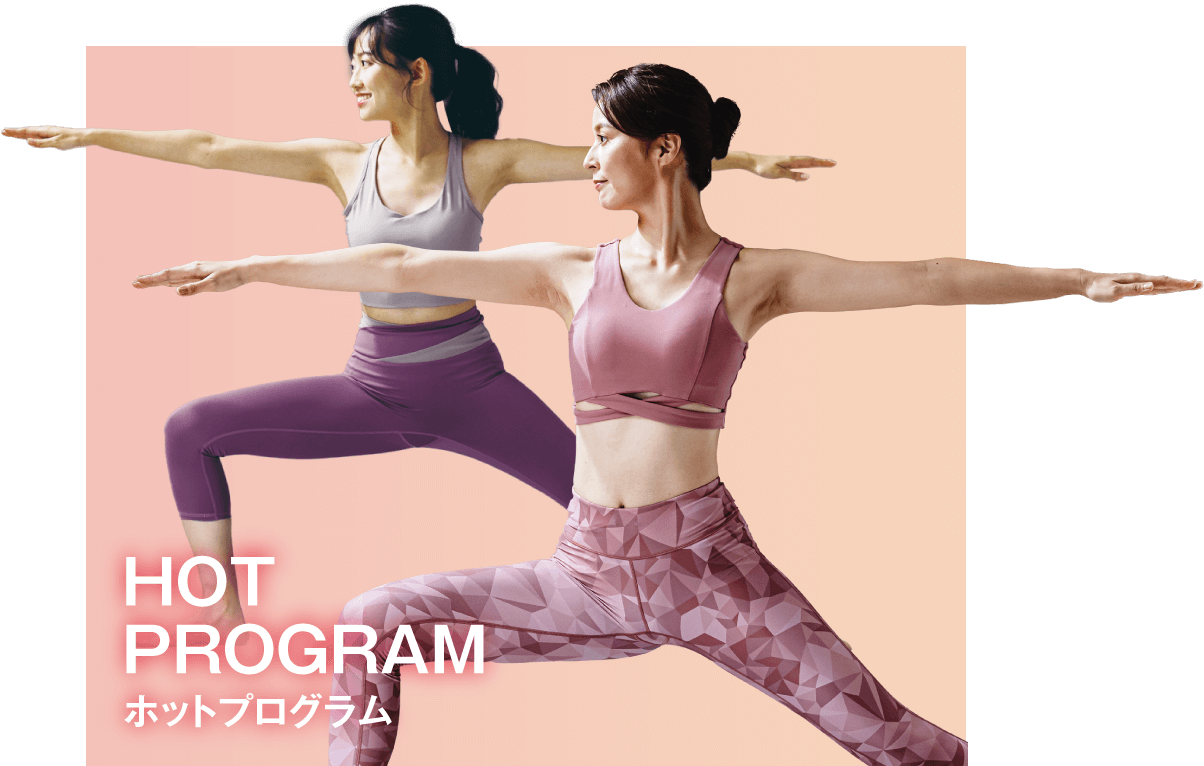 HOT PROGRAM ホットプログラム