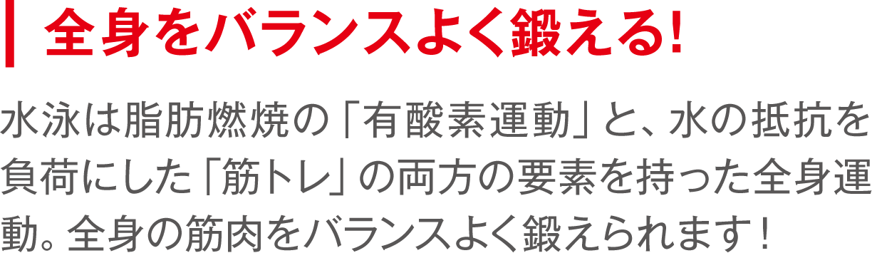 全身をバランスよく鍛える！