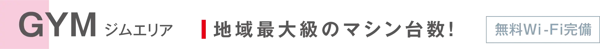 GYM ジムエリア 地域最大級のマシン台数！ 無料Wi-Fi完備