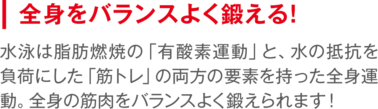 全身をバランスよく鍛える！ 水泳は脂肪燃焼の「有酸素運動」、水の抵抗を負荷にした「筋トレ」の両方の要素を持った全身運動。全身の筋肉をバランスよく鍛えられます！